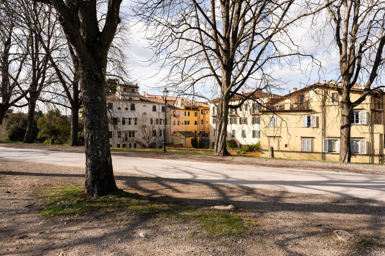 La Terrazza Di Sofia Apartment Lucca Exterior photo
